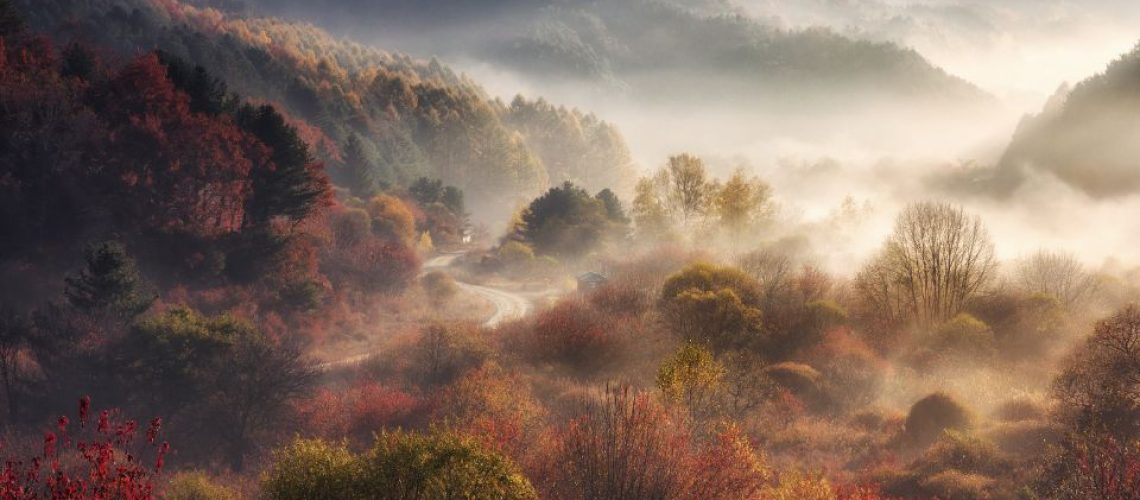 Early morning mist rolling over autumnal forest